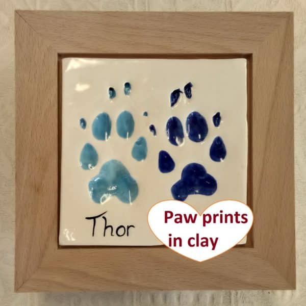 dog paw prints in frame