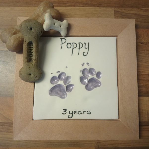 framed dog paw prints in clay